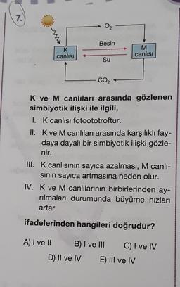 7.
02
Besin
K
canlısı
M
canlisi
Su
CO2
K ve M canlıları arasında gözlenen
simbiyotik ilişki ile ilgili,
1. K canlısı fotoototroftur.
II. K ve M canlıları arasında karşılıklı fay-
daya dayalı bir simbiyotik ilişki gözle-
nir.
III. K canlısının sayıca azalması, M canli-
sinin sayıca artmasına neden olur.
IV. K ve M canlılarının birbirlerinden ay-
rilmaları durumunda büyüme hızları
artar.
ifadelerinden hangileri doğrudur?
A) I ve II B) I ve III C) I ve IV
D) II ve IV E) III ve IV
