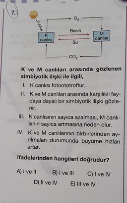 7.
02
Besin
K
canlısı
M
canlisi
Su
CO2
K ve M canlıları arasında gözlenen
simbiyotik ilişki ile ilgili,
1. K canlısı fotoototroftur.
II. K ve M canlıları arasında karşılıklı fay-
daya dayalı bir simbiyotik ilişki gözle-
nir.
III. K canlısının sayıca azalması, M canli-
sinin sayıca artmasına neden olur.
IV. K ve M canlılarının birbirlerinden ay-
rilmaları durumunda büyüme hızları
artar.
ifadelerinden hangileri doğrudur?
A) I ve II B) I ve III C) I ve IV
D) II ve IV E) III ve IV
