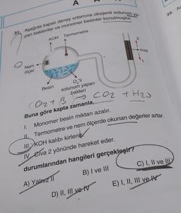A
33. As
31. Aşağıda kapalı deney ortamına oksijenli solunum ya-
pan bakteriler ve monomer besinler konulmuştur.
KOH Termometre
2
civa
00
1
Nem
ölçer
O'li
Besin
solunum yapan
bakteri
Coz tH2J
Oat B
Buna göre kapta zamanla,
Monomer besin miktarı azalır.
1.
Termometre ve nem ölçerde okunan değerler artar.
II.
M.KOH kalıbı kirlenir.
1. Civa 2 yönünde hareket eder.
C) I, II ve IID
durumlarından hangileri gerçekleşir?
B) I ve III
A) Yalarz 11
A
E) I, II, III ve IV
D) II, III ve IV