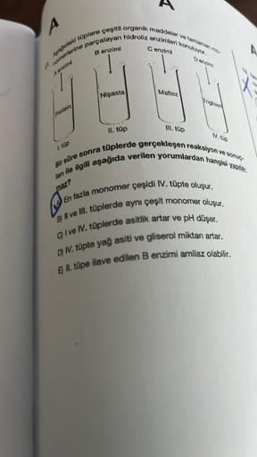 A
ve tamamen mo
Aşağıdaki tüplere çeşitli organik maddeler
B enzimi
C enzimi
A
1 nomerlerine parçalayan hidroliz enzimleri konuluyor.
Denzim
A enzimi
Maltoz
Nişasta
Protein
III. tüp
V.lüp
1. tüp
maz?
Il. tüp
Bir süre sonra tüplerde gerçekleşen reaksiyon ve