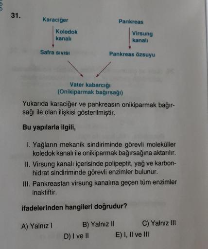 31.
Karaciğer
Pankreas
Koledok
kanali
Virsung
kanali
Safra SIVISI
Pankreas özsuyu
Vater kabarcığı
(Onikiparmak bağırsağı)
Yukarıda karaciğer ve pankreasın onikiparmak bağır-
sağı ile olan ilişkisi gösterilmiştir.
Bu yapılarla ilgili,
I. Yağların mekanik si