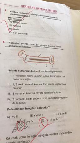 DESTEK VE HAREKET SİSTEMİ
Iskelet Sistemi
4.
Aşağıda verilenlerden hangisi, kemik dokusuna alt
yapılardan değildir?
A) Kondrin
B) Havers kanalı
C) Osteosit
D) Osein
E) Sarı kemik iliği
5.
Aşağıdaki şekilde uzun bir kemiğin boyuna kesiti
şematize edilmistir.
2
3
4
telan
Şekilde numaralandırılmış kısımlarla ilgili olarak,
I. 1 numaralı kısım kemiğin enine büyümesini ve
onarımını sağlar.
II. 1, 3 ve 4 numaralı kısımlar tüm kemik çeşitlerinde
bulunur.
III. 3 numaralı kısımda havers kanalları bulunur.
IV. 2 numaralı kısım sadece uzun kemiklerin yapısın-
da bulunur.
ifadelerinden hangileri doğrudur?
A) I ve II
B) Yalnız 11 C) I, II ve III
THAIL ve IV
(E) II, III ve IV
Bir
Kıkırdak doku ile ilgili, aşağıda verilen ifadelerden
banaisi yanlıstır?
