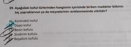 39- Aşağıdaki koful türlerinden hangisinin içerisinde biriken maddeler bitkinin
taç yapraklarının ya da meyvelerinin renklenmesinde etkilidir?
A) Kontraktil koful
Depo koful
Besin kofulu
D Sindirim kofulu
Boşaltım kofulu
