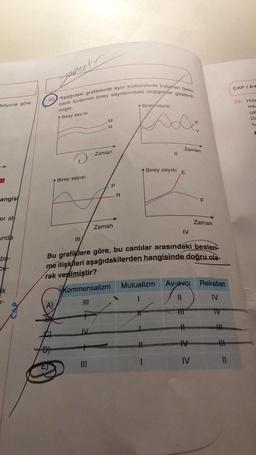 gareth
ÇAPLAY
38 Aşağıdaki grafiklerde aynı komünitede bulurian farklı
canlı türlerinin birey sayılarındaki değişimler gösteril-
boyuna göre
A Birey sayısı
miştir.
A Birey sayısı
39. Hüs
me
ça
D
h
M
D
N
Zaman
Zaman
11
Birey sayısı
E
Birey sayısı
P
R
angisi
F
er att
Zaman
Zaman
IV
unda
III
bu-
bu-
Bu grafiklere göre, bu canlılar arasındaki beslen
me ilişkileri aşağıdakilerden hangisinde doğru ola-
rak verilmiştir?
Mutualizm
Av-avci
Rekabet
ik
Kommensalizm
IV
<-
A)
IV
=
.
1
IV
11