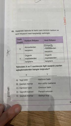 YAYINLARI
LİMİT
19. Aşağıdaki tabloda iki farklı canlı türünün karbon ve
azot ihtiyacını nasıl karşıladığı verilmiştir.
Canlı
Çeşidi
Karbon ihtiyacı
Azot ihtiyacı
X
Atmosferden
karşılanır.
A
Inorganik
maddelerden
karşılanır.
Organik
maddelerden
karşılanır.