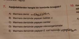 pisi
ne
7. Aşağıdakilerden hangisi bir komünite örneğidir?
10. Ker
saf
A)
A) Marmara denizi ekosisten
B) Marmara denizinde yaşayan balıklar
A)
C) Marmara denizinde yaşayan canlılar
D) Marmara denizinde yaşayan mikroorganizmalar
E) Marmara denizinde yaşayan E. coli topluluğu =poplayan
)
=
