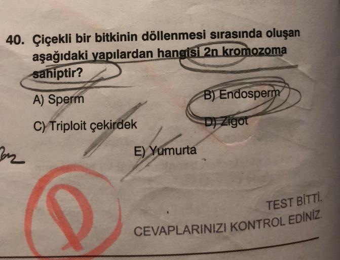 40. Çiçekli bir bitkinin döllenmesi sırasında oluşan
aşağıdaki yapılardan hangisi 2n kromozoma
sahiptir?
A) Sperm
B) Endosperm
C) Triploit çekirdek
D) Zigot
32
E) Yumurta
TEST BITTI.
CEVAPLARINIZI KONTROL EDİNİZ.