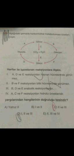 Aşağıdaki şemada karbonhidrat metabolizması özetlen-
miştir.
Glikoz
B
Nişasta
CO2 + H2O
Glikojen
E
D
F
Glikoz
Harfler ile işaretlenen reaksiyonlara ilişkin,
1. A, D ve E reaksiyonları hayvan hücrelerinde görül-
mez.
II. B ve F reaksiyonları bitki hücrelerinde görülmez.
III. B, D ve E anabolik reaksiyorlardır.
IV. A, C ve F reaksiyonları hidroliz örnekleridir.
yargılarından hangilerinin doğruluğu kesindir?
A) Yalnız 11
B) I ve II
co
C) Il ve III
I, II ve III
E) II, III ve IV