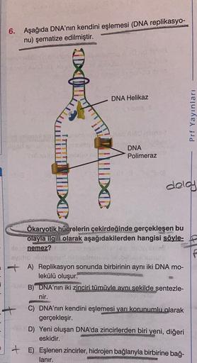 6. Aşağıda DNA'nın kendini eşlemesi (DNA replikasyo-
nu) şematize edilmiştir.
DNA Helikaz
Prf Yayınları
DNA
Polimeraz
TADO
delay
DXC
Ökaryotik hücrelerin
çekirdeğinde gerçekleşen bu
olayla ilgili olarak aşağıdakilerden hangisi söyle-
po nemez?
auto pa
- A)