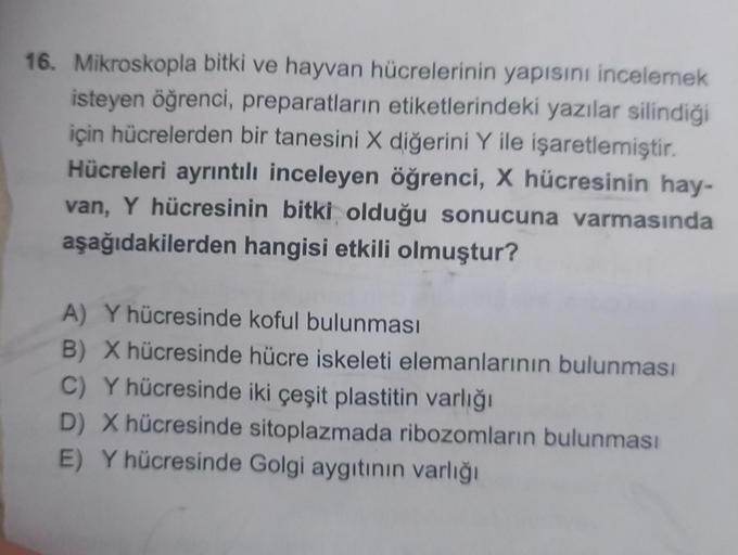 16. Mikroskopla bitki ve hayvan hücrelerinin yapısını incelemek
isteyen öğrenci, preparatların etiketlerindeki yazılar silindiği
için hücrelerden bir tanesini X diğerini Y ile işaretlemiştir.
Hücreleri ayrıntılı inceleyen öğrenci, X hücresinin hay-
van, Y 