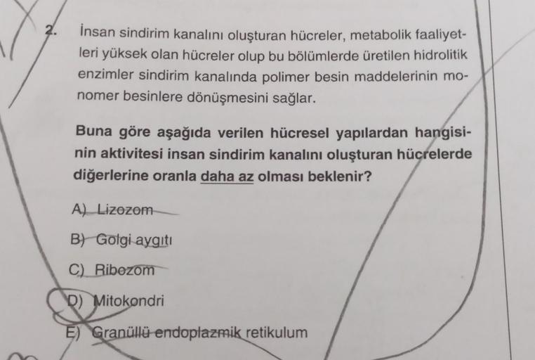 2.
İnsan sindirim kanalını oluşturan hücreler, metabolik faaliyet-
leri yüksek olan hücreler olup bu bölümlerde üretilen hidrolitik
enzimler sindirim kanalında polimer besin maddelerinin mo-
nomer besinlere dönüşmesini sağlar.
Buna göre aşağıda verilen hüc