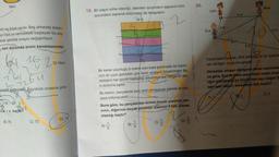 Mert
20.
Mine
Lale
19. Bir olayın olma olasılığı, istenilen durumların sayısının tüm
durumlann sayısına bölünmesi ile hesaplanır.
5 m
3 m
2
12 m
Ece
10
kli eş bilye vardır. Beş arkadaş arasin.
eyi Oya'ya vermesiyle başlayan bu alış.
acak şekilde sırayla değiştiriliyor.
son durumda kimin kavanozundan
6 m
16
2on
D) Mert
Yukandaki oyuhda, dört arkadas bir ipi ayakdar
rek dörtgen oluşturmuşlardt
Görselde, oluşan dörtgenin kenar uzunlukla
ne göre, Ecete Wine arasındaki metre cinsi
liğin alabilecegl en büyük tam sayı değerin
tam sayi değeri arasıdaki fark kaçtır?
164
2 m
nou
pozitif farpanlen, büyüklük sırasına göre
Bir kenar uzunluğu 5 metre olan kare şeklindeki bir karto-
nun ön yüzü şekildeki gibi farklı renklere boyanmiştir. Bu
renklerin her birinin kapladığı dikdörtgensel bolgenin ala-
ni birbirine eşittir.
Bu karton, parçalarda aynı renk olmayacak şekilde iki par-
çaya bölünecektir.
Buna göre, bu parçalardan birinin boyalı yüzünün ala-
ninin, diğerinin boyalr yüzünun alanının 4 katı olması
olasılığı kaçtır?
C) 3
A)
32
16, 32, C
Soto kachine
D) 74
B) 70
C) 72
c)
b) 2 3 1
1
D
B)
A)
