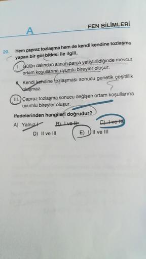 FEN BİLİMLERİ
A
20.
Hem çapraz tozlaşma hem de kendi kendine tozlaşma
yapan bir gül bitkisi ile ilgili,
1. Gülün dalından alınan parça yetiştirildiğinde mevcut
ortam koşullarına uyumlu bireyler oluşur.
Kendi kendine tozlaşması sonucu genetik çeşitlilik
blu