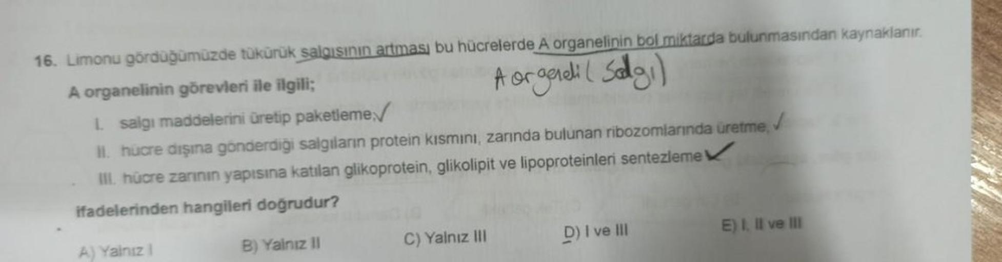 A orgereli ( Salgi)
16. Limonu gördüğümüzde tükürük salgısının artması bu hücrelerde A organelinin bol miktarda bulunmasından kaynaklanır.
A organelinin görevleri ile ilgili;
1 salgı maddelerini üretip paketleme
II. hucre dışına gönderdiği salgıların prote