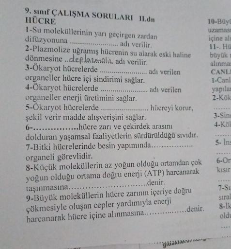 .
9. sınıf ÇALIŞMA SORULARI II.dn
HÜCRE
1-Su moleküllerinin yarı geçirgen zardan
difüzyonuna
.... adı verilir.
2-Plazmolize uğramış hücrenin su alarak eski haline
dönmesine ..deplazmalik adı verilir.
3-Ökaryot hücrelerde ......... adı verilen
organeller hü