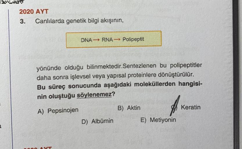 2020 AYT
3. Canlılarda genetik bilgi akışının,
DNA → RNA- Polipeptit
yönünde olduğu bilinmektedir.Sentezlenen bu polipeptitler
daha sonra işlevsel veya yapısal proteinlere dönüştürülür.
Bu süreç sonucunda aşağıdaki moleküllerden hangisi-
nin oluştuğu söyle