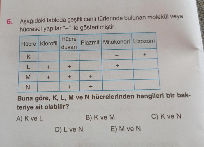 6. Aşağıdaki tabloda çeşitli canlı türlerinde bulun… Biyoloji 6. Aşağıdaki tabloda çeşitli canlı türlerinde bulun… Biyoloji
