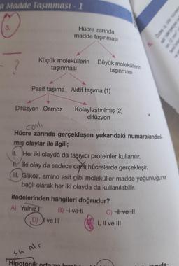 a Madde Taşınması - 1
IN DRUK On sopzo
3.
Hücre zarında
madde taşınması
in 10 mm
arkista
5
ve as
2
Küçük moleküllerin
taşınması
Büyük moleküllerin
taşınmasi
Pasif taşıma Aktif taşıma (1)
Difüzyon Osmoz
Kolaylaştırılmış (2)
difüzyon
conli
Hücre zarında gerçekleşen yukarıdaki numaralandınl-
mış olaylar ile ilgili;
(1. Her iki olayda da taşıyıcı proteinler kullanılır.
H. İki olay da sadece canlı hücrelerde gerçekleşir.
III. Glikoz, amino asit gibi moleküller madde yoğunluğuna
bağlı olarak her iki olayda da kullanılabilir.
ifadelerinden hangileri doğrudur?
A) Yalnız! B) +ve ti
D) | ve III
I, II ve III
C) # ve HH
sh alr
Hipotonik ortama hml
ouda-
