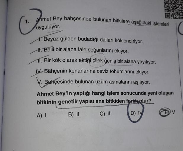 Ahmet Bey bahçesinde bulunan bitkilere aşağıdaki işlemleri
1.
uyguluyor.
1. Beyaz gülden budadığı dalları köklendiriyor.
H. Belli bir alana lale soğanlarını ekiyor.
111. Bir kök olarak ektiği çilek geniş bir alana yayılıyor.
IV. Bahçenin kenarlarına ceviz