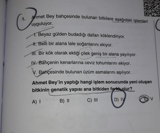 Ahmet Bey bahçesinde bulunan bitkilere aşağıdaki işlemleri
1.
uyguluyor.
1. Beyaz gülden budadığı dalları köklendiriyor.
H. Belli bir alana lale soğanlarını ekiyor.
111. Bir kök olarak ektiği çilek geniş bir alana yayılıyor.
IV. Bahçenin kenarlarına ceviz 