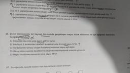 Hamid yeni çekiniktir. +
B) 2. çaprazlama sonucu oluşan koyu gri renkli tavşanın genotipi iki farklı şekilde olabilir.
a) 1. çaprazlama sonucu oluşan koyu gri genotipli tavşan ile 4. çaprazlama sonucu oluşan albino favsanın çaprazlanması
sonucu oluşan tavşanların fenotip oran2:2'lir.
D) 2 ve 3. çaprazlamalar sonucu oluşan kısıtl noktalı genotipli tavşanlar çaprazlandığında oluşan genotip çeşidir. 9
5. çaprazlama sonucu olusan acık gri tavşan ile 3. numaralı çaprazlama sonucu oluşan kisifli noktal genotipi tavşanın
çaprazlaması sonucu chinchilla kürklü tavşan oluşma olasılığı 0,50'dir.
26. 2n:42 kromozomlu bir hayvan hücresinde gerçekleşen mayoz hücre bölünmesi ile ilgili aşağıdaki ifadelerden
hangisi doğrudur
A) Sitokinez olayında golgi aygıtı aktif rol oynar.
B) Interfazın Sevresinden anafaz il evresine kadar kromatit sayısı 84'tür. +
C) Her bölünme sonucu oluşan hücrelere sentromer sayısı eşit dağılır.
D) Hücre bölünmesinde iğ ipliklerinin oluşmasında sitoplazmik proteinler görev alır.
E) Mayoz I bölünme evresinde tetrat sayısı 84'tür.
Şer
yor
27. Soyağacında hemofili hastası olan bireyler taralı olarak verilmiştir.
A)T
