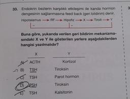 3
33. Endokrin bezlerin karşılıklı etkileşimi ile kanda hormon
dengesinin sağlanmasına feed back (geri bildirim) denir.
Hipotalamus - RFHipofiz →X- Tiroit →Y
-
.Y
-
-
Buna göre, yukarıda verilen geri bildirim mekanizma-
sindaki X ve Y ile gösterilen yerlere aşağıdakilerden
hangisi yazılmalıdır?
X
Y
Kortizol
AY ACTH
B) TSH
Tiroksin
C) TSH
Parot hormon
FSH
Tiroksin
E) TSH
Kalsitonin