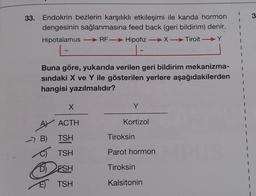 3
33. Endokrin bezlerin karşılıklı etkileşimi ile kanda hormon
dengesinin sağlanmasına feed back (geri bildirim) denir.
Hipotalamus - RFHipofiz →X- Tiroit →Y
-
.Y
-
-
Buna göre, yukarıda verilen geri bildirim mekanizma-
sindaki X ve Y ile gösterilen yerlere aşağıdakilerden
hangisi yazılmalıdır?
X
Y
Kortizol
AY ACTH
B) TSH
Tiroksin
C) TSH
Parot hormon
FSH
Tiroksin
E) TSH
Kalsitonin
