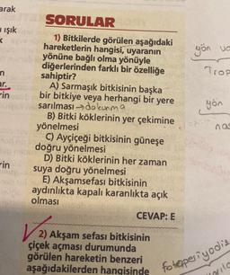 arak
ışık
<
yön va
Trop
n
er.
in
yön
SORULAR
1) Bitkilerde görülen aşağıdaki
hareketlerin hangisi, uyaranın
yönüne bağlı olma yönüyle
diğerlerinden farklı bir özelliğe
sahiptir?
A) Sarmaşık bitkisinin başka
bir bitkiye veya herhangi bir yere
sarılması dokunma
B) Bitki köklerinin yer çekimine
yönelmesi
C) Ayçiçeği bitkisinin güneşe
doğru yönelmesi
D) Bitki köklerinin her zaman
suya doğru yönelmesi
E) Akşamsefası bitkisinin
aydınlıkta kapalı karanlıkta açık
olması
CEVAP: E
opi
nas
rin
2) Akşam sefası bitkisinin
çiçek açması durumunda
görülen hareketin benzeri
sila
aşağıdakilerden hangisinde fot@periyodik
