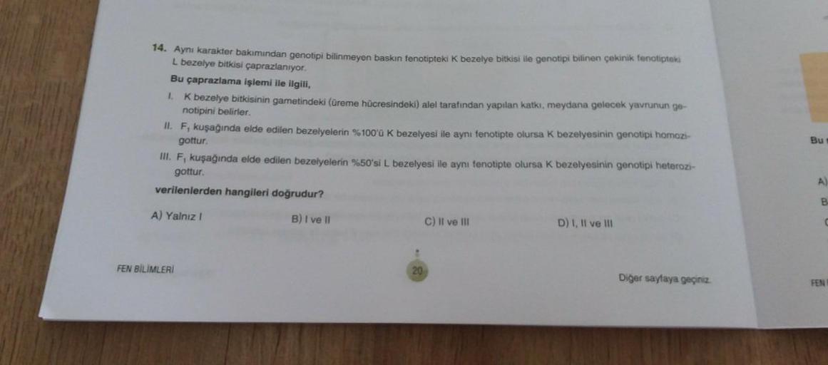 14. Aynı karakter bakımından genotipi bilinmeyen baskin fenotipteki K bezelye bitkisi ile genotipi bilinen çekinik fenotipteki
L bezelye bitkisi çaprazlanıyor.
Bu çaprazlama işlemi ile ilgili,
1. K bezelye bitkisinin gametindeki (üreme hücresindeki) alel t