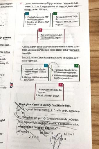 deney tüpleri-
tamamlanın-
17. Cansu, beraber ders çalıştığı arkadaşı Ceren'e bir hüc-
redeki X, Y ve z organellerine ait bazı bilgilerin yazılt
olduğu kartları vermiştir.
X
Y
• Fotofosforilasyonla ATP
• Zar yapısına sahip değil-
sentezi gerçekleşir.
• Ken