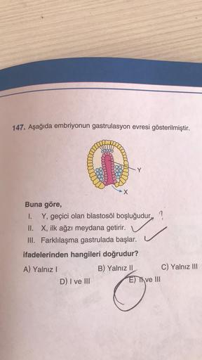 147. Aşağıda embriyonun gastrulasyon evresi gösterilmiştir.
Y
X
Buna göre,
I. Y, geçici olan blastosöl boşluğudur,
II. X, ilk ağzı meydana getirir.
III. Farklılaşma gastrulada başlar.
ifadelerinden hangileri doğrudur?
A) Yalnız!
B) Yalnız 11 C) Yalnız III
