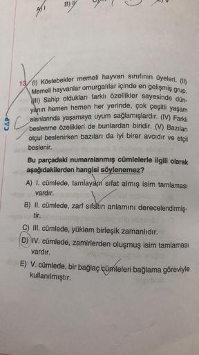 B) IV
AI
CAP
13/ (1) Köstebekler memeli hayvan sinifinin üyeleri. (II)
Memeli hayvanlar omurgalılar içinde en gelişmiş grup.
KUID Sahip oldukları farklı özellikler sayesinde dün-
yanın hemen hemen her yerinde, çok çeşitli yaşam
alanlarında yaşamaya uyum sa