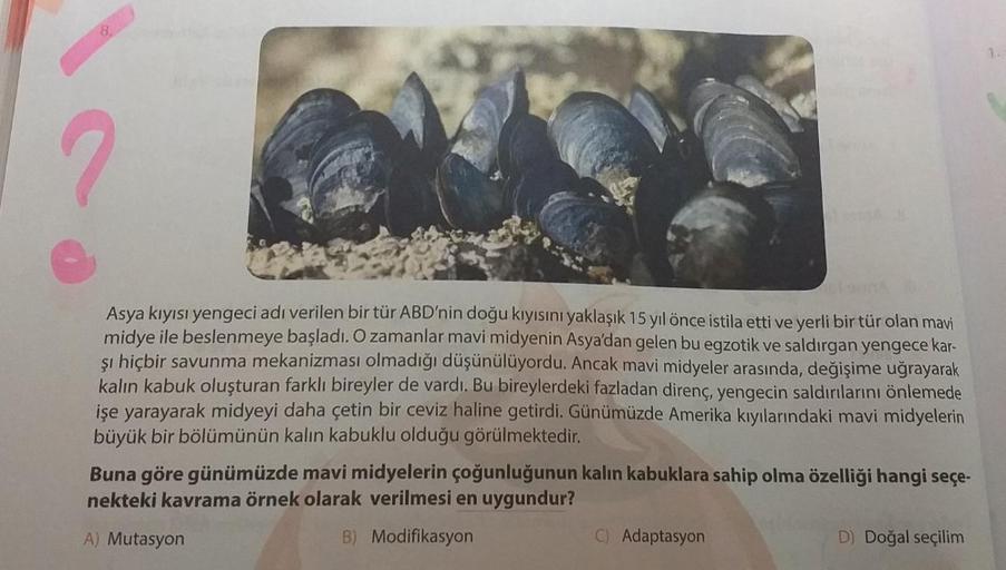 8
1
2
Asya kıyısı yengeci adı verilen bir tür ABD'nin doğu kıyısını yaklaşık 15 yıl önce istila etti ve yerli bir tür olan mavi
midye ile beslenmeye başladı. O zamanlar mavi midyenin Asya'dan gelen bu egzotik ve saldırgan yengece kar-
şı hiçbir savunma mek