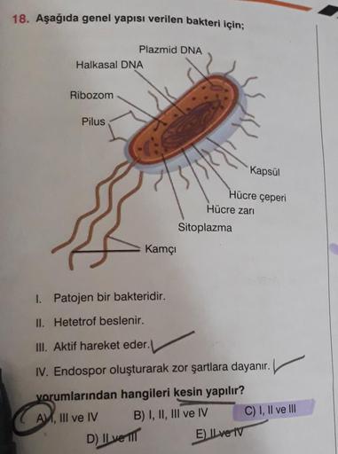 18. Aşağıda genel yapısı verilen bakteri için;
Plazmid DNA
Halkasal DNA
Ribozom
Pilus
Kapsül
15
Hücre çeperi
Hücre zari
Sitoplazma
Kamci
I. Patojen bir bakteridir.
II. Hetetrof beslenir.
III. Aktif hareket eder.
IV. Endospor oluşturarak zor şartlara dayanı