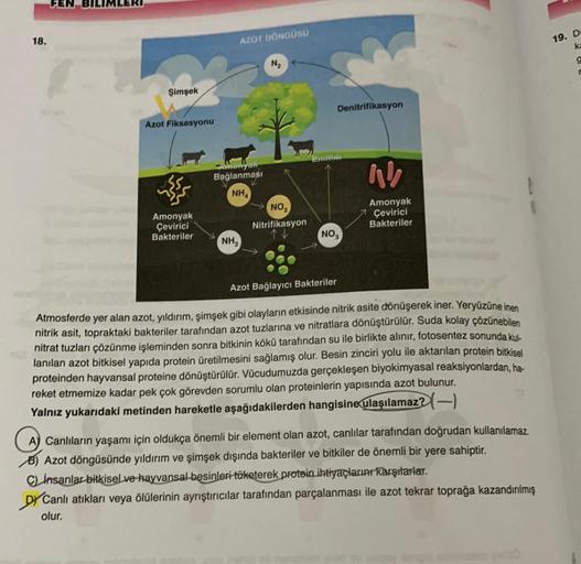 FEN BIL
18.
AZOT DONGUSO
19. D
k
N
Şimşek
Denitrifikasyon
Azot Fiksasyonu
mes
menyor
Bağlanması
NH
al
NO,
Amonyak
Çevirici
Bakteriler
Amonyak
Çevirici
Bakteriler
Nitrifikasyon
NO,
NH,
Azot Bağlayıcı Bakteriler
Atmosferde yer alan azot, yıldırım, şimşek gib