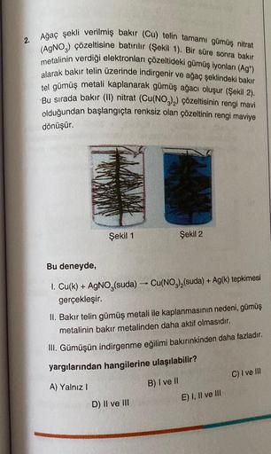 2.
Ağaç şekli verilmiş bakır (Cu) telin tamamı gümüş nitrat
(AgNO3) çözeltisine batırılır (Şekil 1). Bir süre sonra bakır
metalinin verdiği elektronları çözeltideki gümüş iyonları (Ag")
alarak bakır telin üzerinde indirgenir ve ağaç şeklindeki bakir
tel gü
