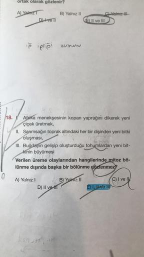 ortak olarak gözlenir?
A) Yalnız
B) Yalnız II
Yalnız
D) Ive Ti
E) II ve III
ie iplloi
un
18. V. Afrika menekşesinin kopan yaprağıni dikerek yeni
çiçek üretmek,
II. Sarımsağın toprak altındaki her bir dişinden yeni bitki
oluşması,
te toit
III. Buğdayın geli