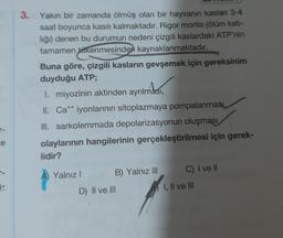 3. Yakın bir zamanda ölmüş olan bir hayvanın kasları 3-4
saat boyunca kasılı kalmaktadır. Rigor mortis (ölüm kati-
liği) denen bu durumun nedeni çizgili kaslardaki ATP'nin
tamamen tükenmesinden kaynaklanmaktadır.
Buna göre, çizgili kasların gevşemek için gereksinim
duyduğu ATP;
1. miyozinin aktinden ayrılması,
II. Cat+ iyonlarının sitoplazmaya pompalanması,
III. sarkolemmada depolarizasyonun oluşması
olaylarının hangilerinin gerçekleştirilmesi için gerek-
lidir?
,
++
ce
C) I ve II
Yalnız! B) Yalnız III
D) II ve III
I, II ve III