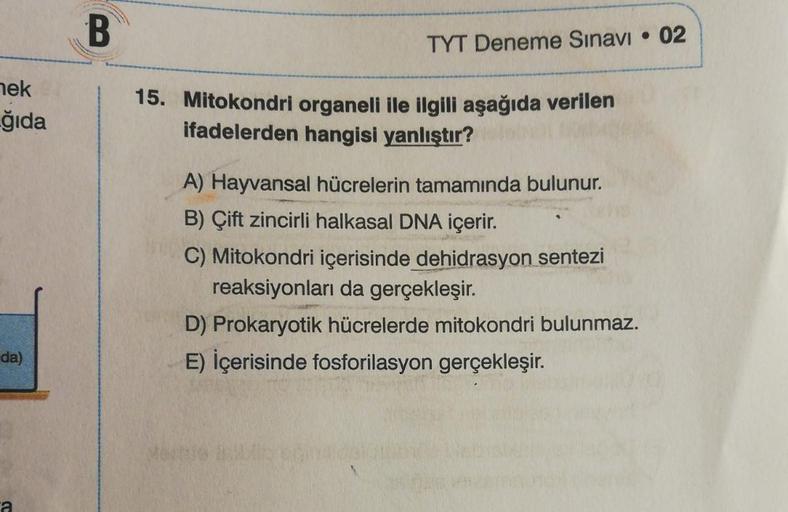 B
TYT Deneme Sınavı • 02
nek
ğıda
15. Mitokondri organeli ile ilgili aşağıda verilen
ifadelerden hangisi yanlıştır?
A) Hayvansal hücrelerin tamamında bulunur.
B) Çift zincirli halkasal DNA içerir.
C) Mitokondri içerisinde dehidrasyon sentezi
reaksiyonları