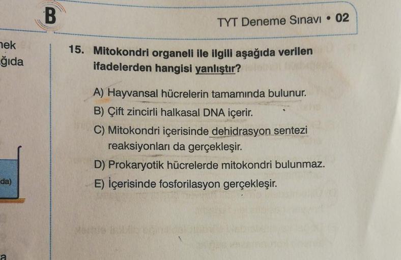 B
TYT Deneme Sınavı • 02
nek
ğıda
15. Mitokondri organeli ile ilgili aşağıda verilen
ifadelerden hangisi yanlıştır?
A) Hayvansal hücrelerin tamamında bulunur.
B) Çift zincirli halkasal DNA içerir.
C) Mitokondri içerisinde dehidrasyon sentezi
reaksiyonları 