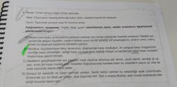 1. Model: Örnek olmaya değer kimse veya şey.
ideal: Düşüncenin tasarlayabileceği bütün üstün nitelikleri kendinde toplayan.
Uyum: Toplumsal çevreye veya bir duruma uyma.
Aşağıdakilerin hangisinde "model, ideal, uyum" sözcüklerinin tümü, verilen anlamlarını karşılayacak
şekilde kullanılmıştır?
A) Yazarın son kitabı, iş dünyasının parlayan yıldızları için model olabilecek insanları anlatıyor. Idealler çer-
çevesinde gelişen hayatları, yazarın birlikte uyum içinde çalıştığı yol arkadaşlarını, onların umut, inanç,
özveri ve başarıyla taçlanmış öykülerini içeriyor.
B) Mevlâna; büyüklenmeye karşı tevazunun, düşmanlığa karşı dostluğun, ön yargıya karşı hoşgörünün,
cimriliğe karşı cömertliğin, asiliğe karşı uyumun tesis edildiği hikâye ve beyitleriyle ideal insan modelini
oluşturmaya gayret etmiştir.
C) Ideallerini gerçekleştirmek için yaşayan insan deyince aklımıza saf, temiz, uyum sahibi, sevdiği işi ya-
pan, mutlu bir insan modeli gelir. Hedefleri doğrultusunda hareket eden bu insanların sayısı az olsa da
onlar toplumda daima dikkat çeker.
D) Sonsuz bir sessizlik ve uyum sarmıştı yaylayı. Sanki bütün canlılar bu sessizliğe ayak uydurmuştu.
Dinlenmek için en ideal yer burası, diye düşündü Arif. Tam o sırada Muhtar, eski model arabasıyla ses-
sizliği bozarak tepeyi aştı.
