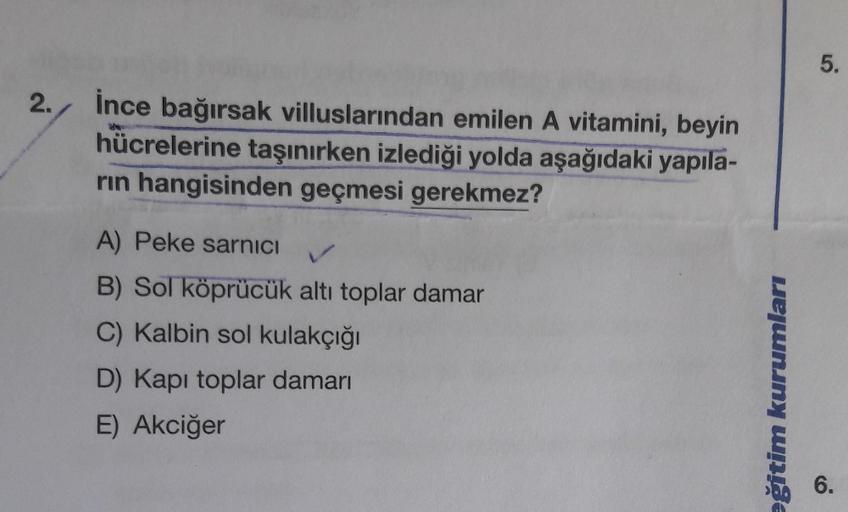 5.
2.
İnce bağırsak villuslarından emilen A vitamini, beyin
hücrelerine taşınırken izlediği yolda aşağıdaki yapıla-
rin hangisinden geçmesi gerekmez?
A) Peke sarnici
✓
B) Sol köprücük altı toplar damar
C) Kalbin sol kulakçığı
D) Kapı toplar damarı
E) Akciğ