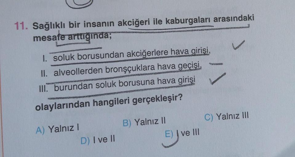 11. Sağlıklı bir insanın akciğeri ile kaburgaları arasındaki
mesafe
arttığında;
I. soluk borusundan akciğerlere hava girişi,
II. alveollerden bronşçuklara hava geçişi,
III. burundan soluk borusuna hava girişi
olaylarından hangileri gerçekleşir?
C) Yalnız I