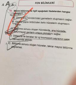 AAA
FEN BİLİMLERİ
19. Mayoz bölünme ile ilgili aşağıdaki ifadelerden hangisi
Yanlıştır?
A) Üreme ana hücrelerinden gametlerin oluşmasını sağlar.
B) Kalıtsal yapısı birbirinden farklı hücrelerin oluşmasını
sağlar.
on Bölünme sonucu oluşan hücrelerde, ana hücrede
bulunmayan genlerin ortaya çıkmasını sağlar.
D) Döllenme ile beraber tür içi kromozom sayısının sabit
kalmasında etkilidir.
E) Bölünme sonucu oluşan hücreler, tekrar mayoz bölünme
geçiremez.
