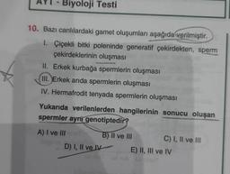 - Biyoloji Testi
10. Bazı canlılardaki gamet oluşumları aşağıda verilmiştir.
1. Çiçekli bitki poleninde generatif çekirdekten, sperm
çekirdeklerinin oluşması
II. Erkek kurbağa spermlerin oluşması
II. Erkek arıda spermlerin oluşması
IV. Hermafrodit tenyada spermlerin oluşması
Yukarıda verilenlerden hangilerinin sonucu oluşan
spermler ayni genotiptedir?
A) I ve III
B) II ve III
C) I, II ve III
D) I, II ve IV
E) II, III ve IV
