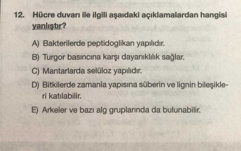 12. Hücre duvarı ile ilgili aşaıdaki açıklamalardan… Biyoloji 12. Hücre duvarı ile ilgili aşaıdaki açıklamalardan… Biyoloji