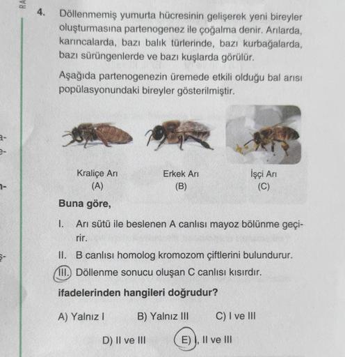 RA
4.
Döllenmemiş yumurta hücresinin gelişerek yeni bireyler
oluşturmasına partenogenez ile çoğalma denir. Arılarda,
karıncalarda, bazı balık türlerinde, bazı kurbağalarda,
bazı sürüngenlerde ve bazı kuşlarda görülür.
Aşağıda partenogenezin üremede etkili 