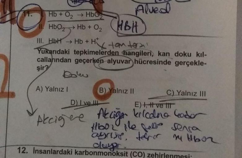 Alved
Hb + O2 Hbo
11. HbO2Hb + O2
HBH
III. HbH Hb + Httanter
Yukarıdaki tepkimelerden hangileri, kan doku kil-
callarından geçerken alyuvar hücresinde gerçekle-
şir?
A) Yalnız 1
B) Yalnız II
C) Yalnız III
D I ve III
E)t, vett
plecigere Alligar kricane Codo