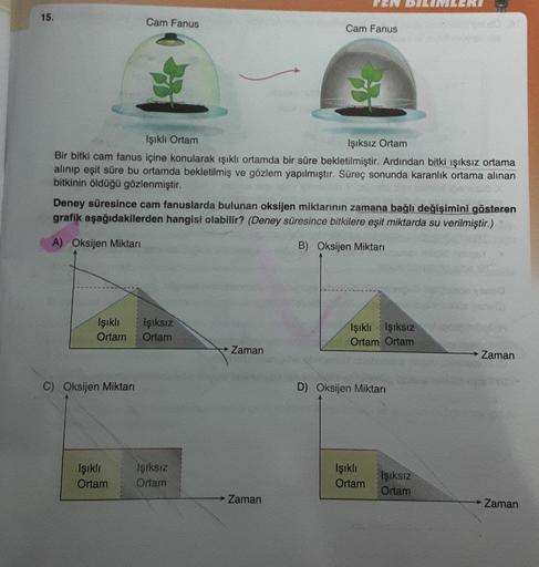 15.
Cam Fanus
Cam Fanus
Işıklı Ortam
Işıksız Ortam
Bir bitki cam fanus içine konularak ışıklı ortamda bir süre bekletilmiştir. Ardından bitki ışıksız ortama
alinip eşit süre bu ortamda bekletilmiş ve gözlem yapılmıştır. Süreç sonunda karanlık ortama alınan