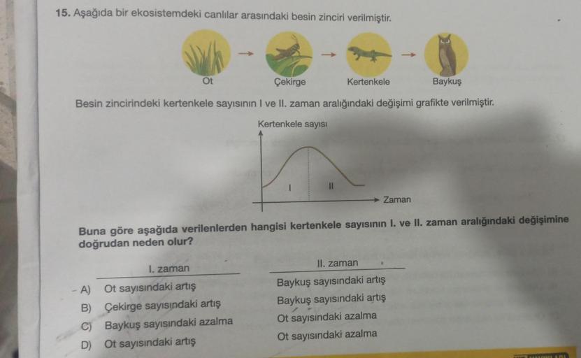 15. Aşağıda bir ekosistemdeki canlılar arasındaki besin zinciri verilmiştir.
Ot
Çekirge
Kertenkele
Baykuş
Besin zincirindeki kertenkele sayısının I ve II. zaman aralığındaki değişimi grafikte verilmiştir.
Kertenkele sayısı
II
Zaman
Buna göre aşağıda verile